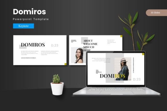 Domiros - Keynote Template for Modern Presentations