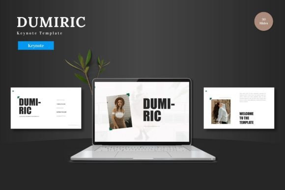 Dumiric - Keynote Template: Elevate Your Presentations