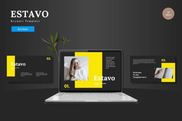 Estavo Keynote Template: Your All-in-One Presentation Solution